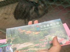 -三水森林公园