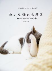 -ZOO KIDS象集摄影工作室(西城公馆店)