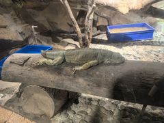 -南京金牛湖风景区