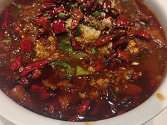 -新侨小馆(东直门北小街店)