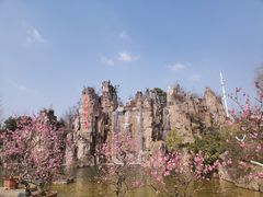 -秀丽东方