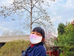 -碑林公园
