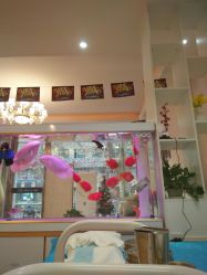 -痘庄科学祛痘国际连锁机构