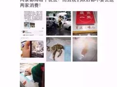 盛京一禾-盛京一禾