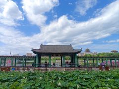 -莲花池公园