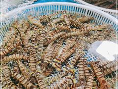-王四营海鲜市场