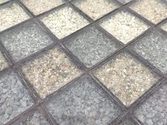 -白塘生态植物园