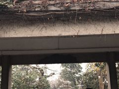 -西湖外事游船(花港观鱼码头)