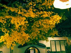 -淀里船宴(裕华东路店)