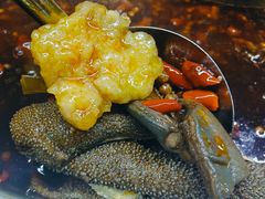 鳝鱼自由-储奇门鳝鱼火锅(总店)