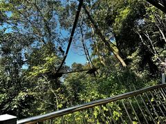 -芦仙山景区-飞越丛林探险乐园