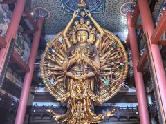 -上海东林寺(金山区)