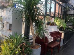 -北马山庄植趣咖啡