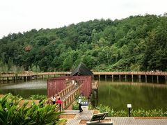 -神光山国家森林公园