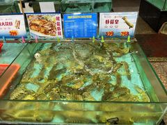 -渔民新村(番禺总店)