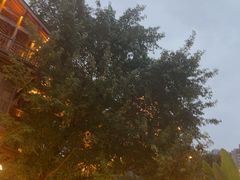 -重庆十八梯传统风貌区