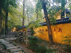 -灵谷景区