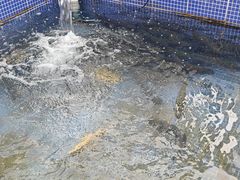 -北京龙庆四季香农家饭庄·灶台鱼·碳烤虹鳟鱼(龙庆峡店)