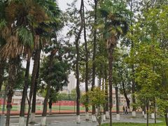 -四川大学(望江校区)