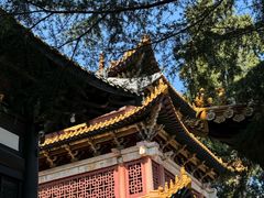 -中国观音故里广德景区