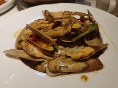 豉汁炒花蛤-避风塘(江桥万达店)