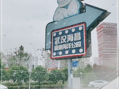 -海合安武汉极地海洋公园