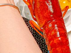 -新光酒家·河豚·海鲜·蟹料理(浦东店)