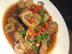 网红八爪鱼-锦上中式酒馆(南内环店)
