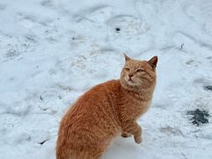 -终南山南五台景区