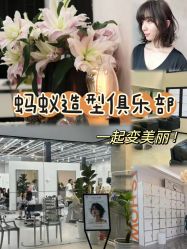 -蚂蚁造型俱乐部