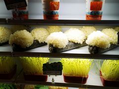 -番食园鲜食火锅(高新店)