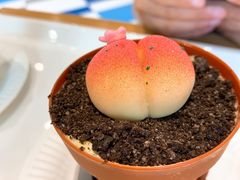 咖啡奶酥-85度C(江都金鹰店)