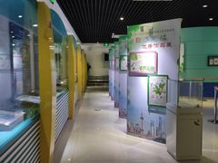 -上海昆虫博物馆