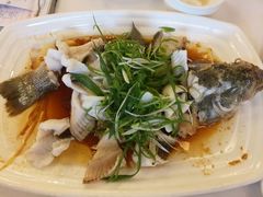 鲈鱼-朱仔记食府(江南大道店)