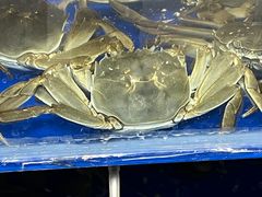 -阳澄湖大闸蟹·琼灵阁牌品牌连锁(吴中总店)