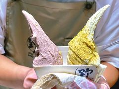 -野人先生Gelato(上海长宁龙之梦店)