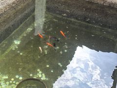 -蔡元培故居