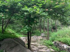 -阳台山自然风景区