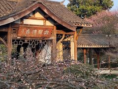 -杭州植物园