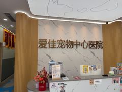 -爱佳宠物中心医院24H·CT·骨外科·猫专科(瑶海万达店)