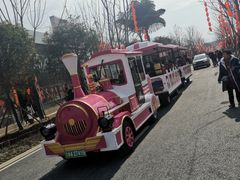 -三圣花乡旅游区