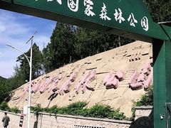 -北京十三陵国家森林公园蟒山景区