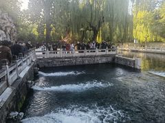 -阿水大杯茶(山师水云间店)