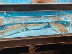 -乡里八闽·福州乡土菜(高宅店)