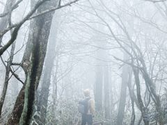 -安吉龙王山风景区