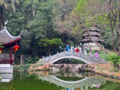 -深圳国际园林花卉博览园