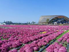 -中国天府农业博览园