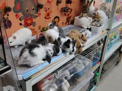 -三旗百汇商品城