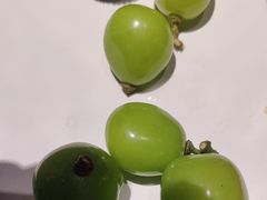 -奔海甄选·活鲜刺身铁板烧自助(太原里店)