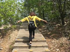 -帽儿山国家森林公园